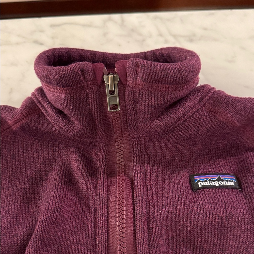 Patagonia | Kid’s Plum Fleece Jacket (S) - Picture 3 of 6